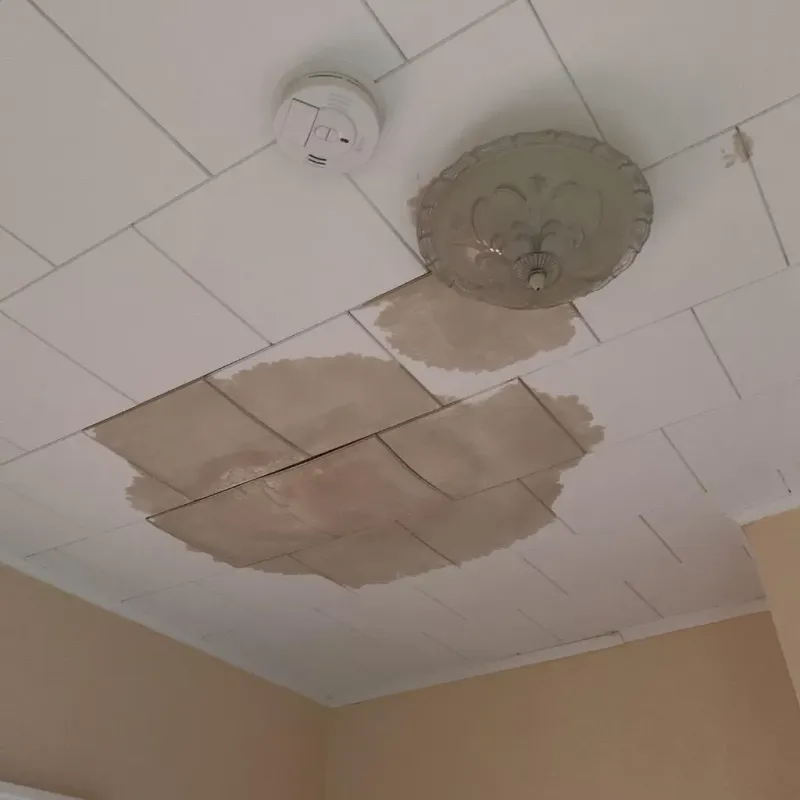 Ceiling Water Damage Repair in Londonderry, VT