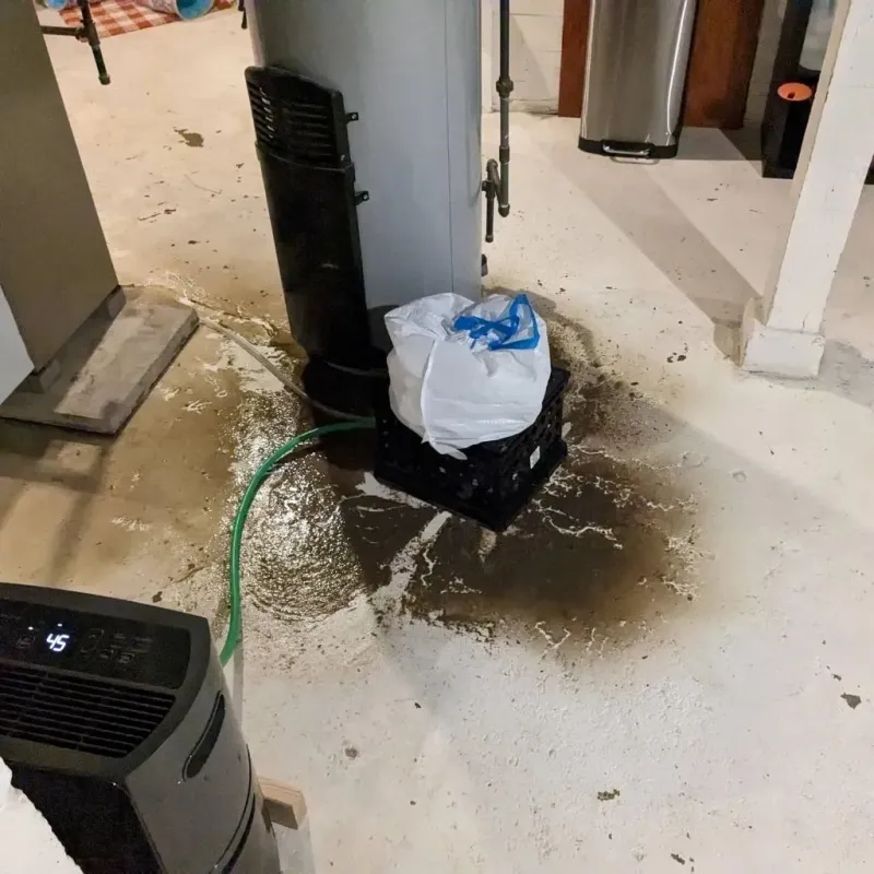 Sewage Backup Cleanup Service in Londonderry, VT